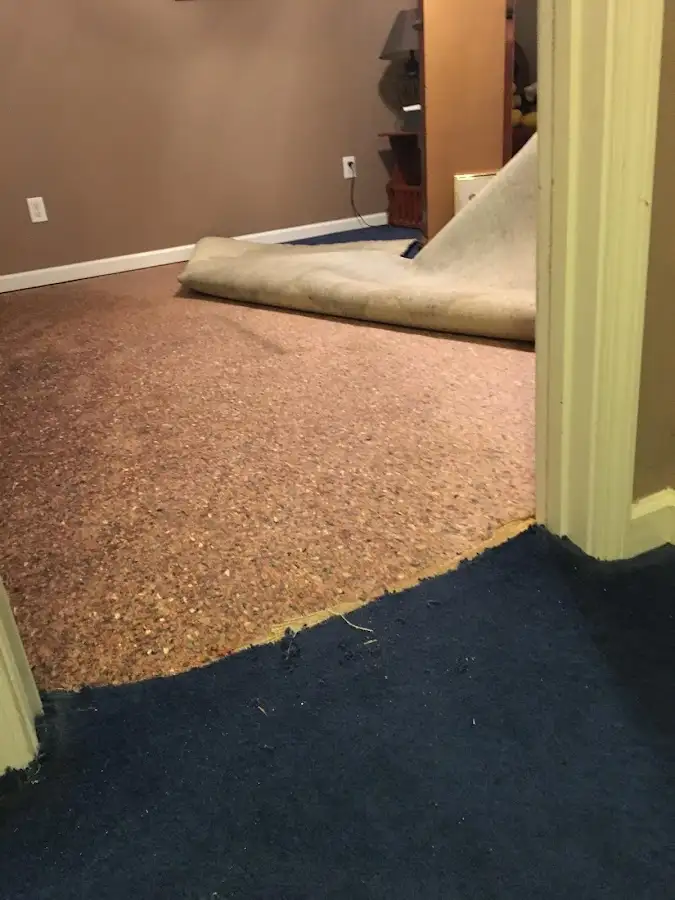 Carpet pad removal revealing water damage during Water Mitigation Services in Flatwoods