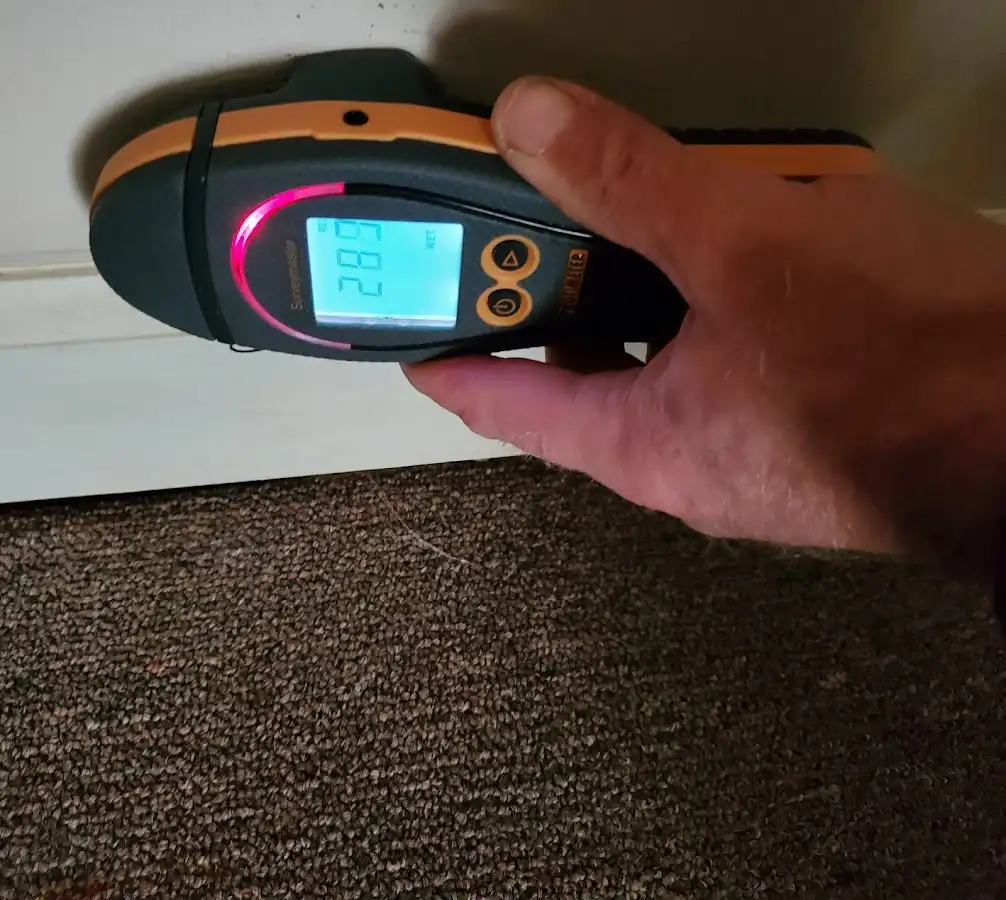 Moisture detection at baseboard during Sewage Cleanup & Sanitation in Flatwoods